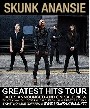 zonaruido-Skunk-Anansie-307.jpg