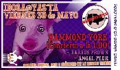 Hammond York
