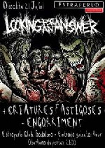 Looking for an Answer + Criatures Fastigoses + Engorriment