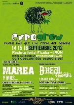 Marea