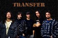 Transfer se separan
