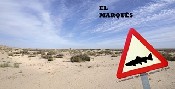 Los Salmones que nunca regresan al mar, de El MarquÃ©s