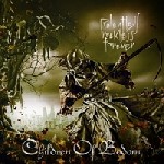 Shovel Knockout, nuevo vÃ­deo de Children of Bodom