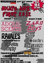 Skate And Fight 2012