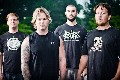 The Diplomat, nuevo vÃ­deo de Pig Destroyer