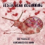 Primer disco de Testicular Beginning