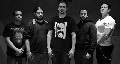 101 buscan guitarrista