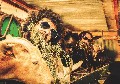 Las Bases del Razonamiento, nuevo disco de Sonido Vegetal