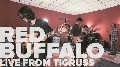 Red Buffalo: Live from Tigruss (VÃ­deo)