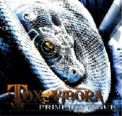VÃ­ctima 63, lyric video de Toxovibora