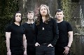 Gira estatal de The Answer en noviembre