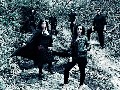 Brother Wolf, nuevo vÃ­deo de Bleeding Tears