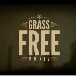 Free, videoclip de adelanto de Grass