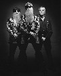 ZZ Top