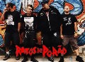 Ratos de Porao