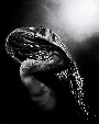 Amorphis