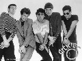 The Dickies