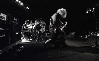 Melvins