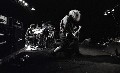 Melvins