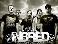 Inbred