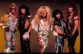 Twisted Sister
