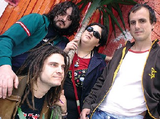 Zea Mays