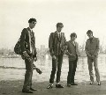 Brighton 64