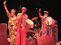 Abyssinians