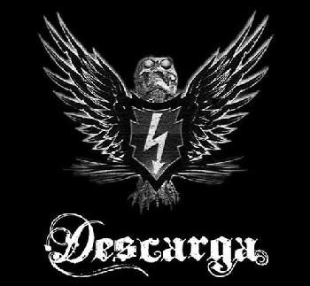 Descarga