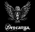 Descarga