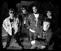 The Sulfators