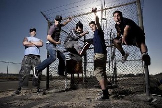 Zebrahead