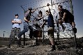Zebrahead