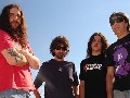 La Vibora Lagarta