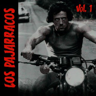 Los Pajarracos