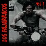 Los Pajarracos