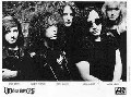 Vicious Rumors