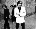 Paul Collins Beat