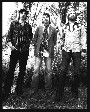 The Steepwater Band