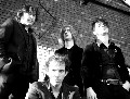 The Eviltones