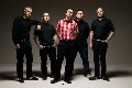 The Aggrolites