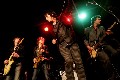 Diamond Dogs