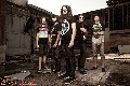 Miss May I