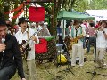 Festicultores