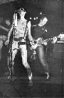 The Vibrators