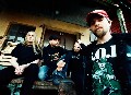 Nasum