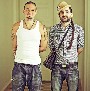 Calle 13