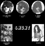 Shunt