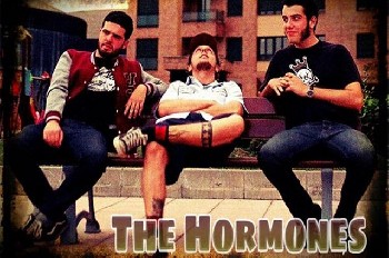 The Hormones