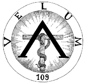Velum